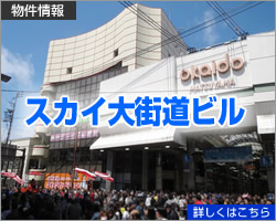 ���R�s�y�X�J�C��X���r���z