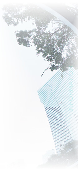 �C���t�H���[�V����