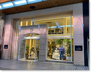 �X�J�C������